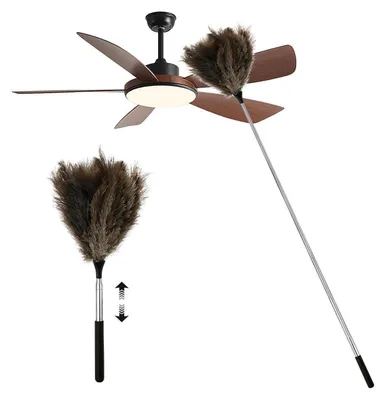 Image de Staubwedel télescopique, plume d'autruche, noir, extensible