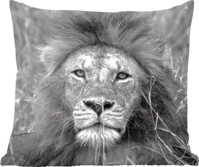 Produktbild von MuchoWow® Zierkissen Sofakissen Wohnzimmer Dekokissen 45x45 cm Löwe - Porträt - Tiere - Schlafpolster - Polster für das Sofa