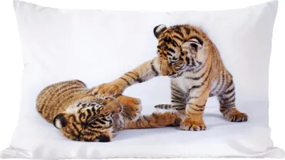 Produktbild von MuchoWow® Zierkissen Sofakissen Wohnzimmer Dekokissen 60x40 cm Tiger - Jungtier - Weiß - Kopfkissen - Polster mit Foto