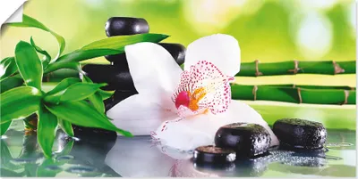 Produktbild von ARTland Poster Spa Steine Bambus Zweige Orchidee Größe: 60x30 cm
