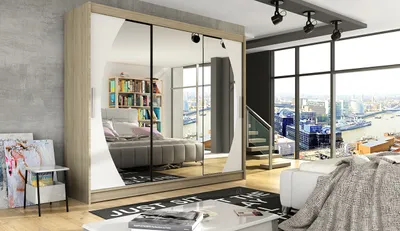 A bedroom with a large mirrored wardrobe reflecting a bed and bookshelves, overlooking a city view through large windows.