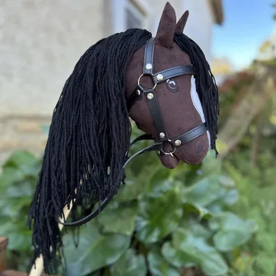 Image de Hobby Horse Alicia à longue crinière et queue amovible - Taille A4