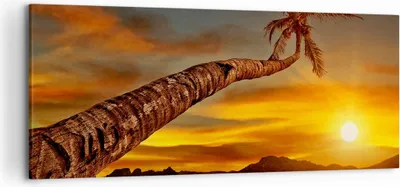 Produktbild von Bild auf Leinwand - Leinwandbild - Palme Landschaft Sonne - 120x50cm - Wand Bild - Wanddeko - Leinwanddruck - Bilder - Kunstdruck - Wanddekoration - Leinwand bilder - Wandkunst - AB120x50-0162