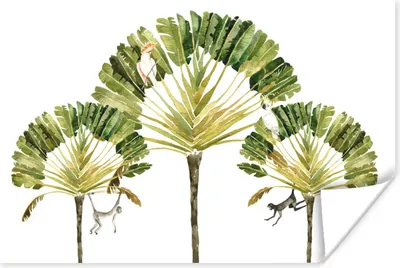 Produktbild von MuchoWow® Poster Dschungel - Kakadu - Baum 180x120 cm - Fotoplakat