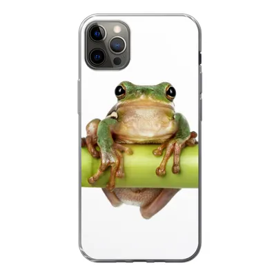Produktbild von MuchoWow® Handyhülle Schutzhülle Hülle für iPhone 12 Pro Max Frosch - Bambus - Weiß Silikon Softcase Handy Hülle - Hartschale