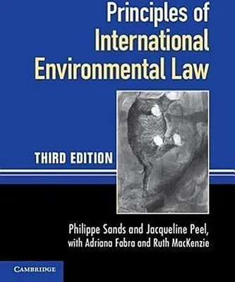 Produktbild von Grundsätze des internationalen Umweltrechts