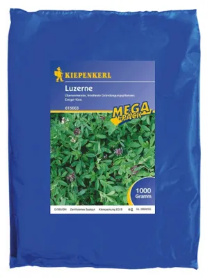 Produktbild von Kiepenkerl Saatgut Luzerne Medicago sativa für 250 m² 1 kg