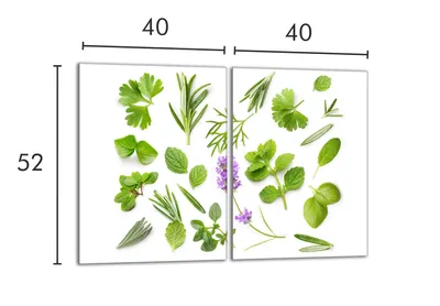 Imagen del producto de Protector de vitrocerámica para cocina, 2 unidades, 40x52 cm. Plantas