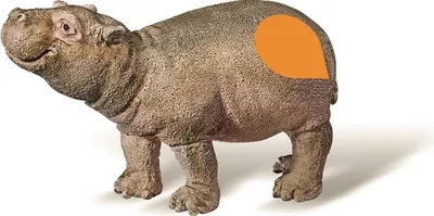 Produktbild von Ravensburger Flusspferd Kalb, 4 Jahr(e), Braun, 1 Stück(e)