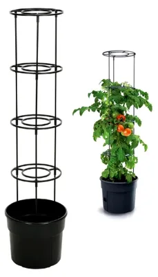 Produktbild von Tomatenzuchttopf – Unterstützung für Pflanzen – 116,5 cm hohe Tomatenstütze