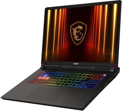 Produktbild von MSI Vector 17 HX AI A2XWHG-041 - 17" QHD+ - Notebook - Core Ultra 9