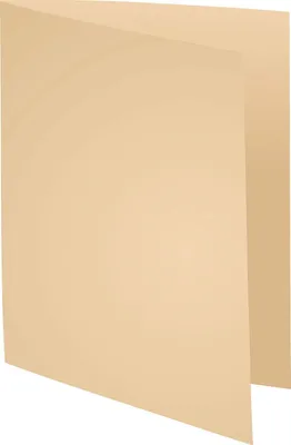 Produktbild von EXACOMPTA Aktendeckel FOREVER 250 DIN A4 chamois 100 Aktendeckel 220 g/qm