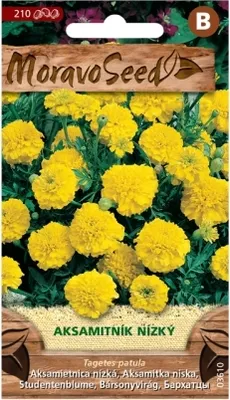 Obrázek produktu pro Nohel Garden Aksamitník rozkladitý plnokvětý, žlutý 03610