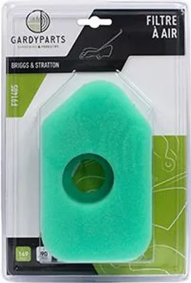 Image de Filtre à Air Adaptable Briggs & Stratton Modèles 92500, 92900, 93900, 95900, 96500 Et 96900. Remplace Origine: 004107, 272235, 2