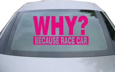 Produktbild von Indigos UG - Aufkleber Heckscheibe & Motorklappe DE2936 - pink - 600x314 mm - Why Because Race Car - Auto Scheiben Fenster Heckklappe Tuning Racing JDM - Die cut