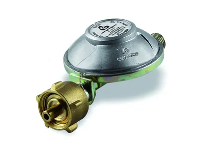 Immagine prodotto di Regolatore di pressione standard Peso circa 0,25 kg Capacità 1,5 kg/h