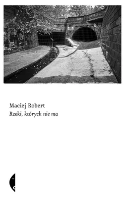 Zdjęcie produktu dla Rzeki, których nie ma - książka Macieja Roberta o znikających rzekach