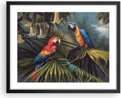 Produktbild von Gerahmtes Poster - Schwarzer Rahmen - Ara Papageien Palmen - 50x40 cm - Wand Bild - Wanddeko - Wandbilder - Kunstposter - Wandposter - Bilderrahmen - Bilder - Kunstdruck - P2BAA50x40-4780