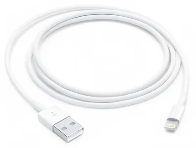 Immagine prodotto di Apple Cavo da Lightning a USB (1 m)