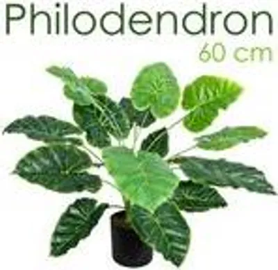 Produktbild von Kunstpflanze Künstliche Pflanze Aronstab Araceae Arum Taro künstlicher Baum Künstlich im Topf Plastik Pflanzen 60 cm Zimmerpflanze wie Echt Deko Decovego