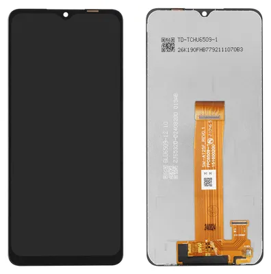 Produktbild von Samsung Galaxy A12 (A125F) Display (ohne Rahmen) Schwarz