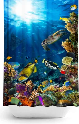Produktbild von Digitaldruck Textil Duschvorhang AQUARIUM 240x200 cm SEA LIFE Wannenvorhang inkl. Ringe