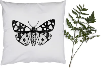 Produktbild von MuchoWow® Zierkissen Sofakissen Wohnzimmer Dekokissen 60x60 cm Schmetterling - Vintage - Schwarz und weiß - Sitzfläche - Foto Polster