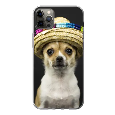 Produktbild von MuchoWow® Handyhülle Schutzhülle Hülle für iPhone 13 Pro Max Hund - Sombrero - Schwarz Silikon Softcase Handy Hülle - Mobiltelefon