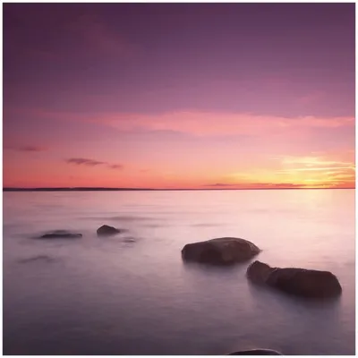 Produktbild von Wallario Memoboard Magnettafel aus Glas, Größe 50 x 50 cm, Motiv Nebel am See bei Sonnenuntergang