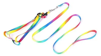 Image de Harnais avec laisse Surtep Animals pour chatons 110/1 cm