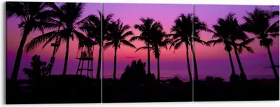 Produktbild von Bild auf Leinwand - Leinwandbild - Sonnenuntergang dämmerung sonne palme - 150x50cm - Wand Bild - Wanddeko - Leinwanddruck - Bilder - Kunstdruck - Leinwand bilder - Wandkunst - CA150x50-2788