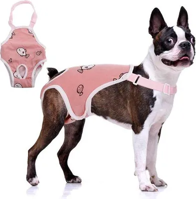 Immagine prodotto di Accappatoio per cani - Pannolini per cani - Pantaloncini per cani per l'incontinenza urinaria - Pantaloncini lavabili per cani - Pantaloncini riutilizzabili per cani - Intimo per cani maschi con incontinenza urinaria - Con cinturini regolabili - Pannolini per cuccioli - Rosa
