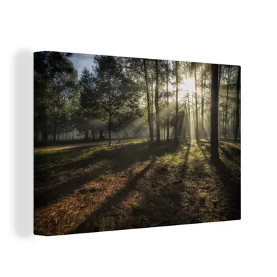Obrázok produktu pre OneMillionCanvasses® - Maľba na plátne - Obraz na plátne Nástenná maľba na plátne - Les - slnko - hmla - 150x100cm - Fotografia na plátne - maľba na