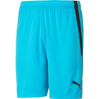 Produktbild von Puma Teamliga Shorts Kinder - Atoll