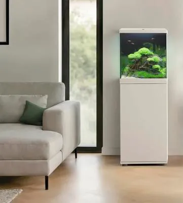 Produktbild von Aquariumkombination JUWEL Vio Cube 54 inkl. LED Beleuchtung, Heizer, Filter und Unterschrank SBX Vio Cube 54, weiß