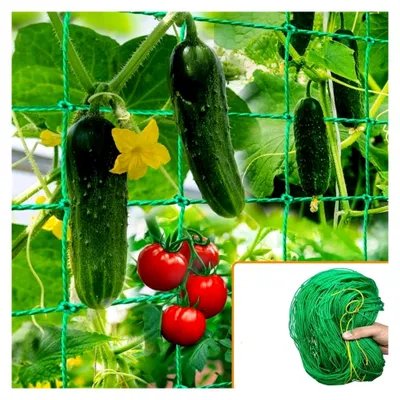 Produktbild von Ranknetz für Pflanzen, geeignet für Gemüse, Clematis, Gurken, Trauben, Tomaten, Bohnen, Blumen und Reben (2 x 5 m)
