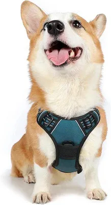 Imagen del producto de Unyqoos® Arnés para perros anti-tirones – reflectante, transpirable y con acolchado suave, arnés ajustable, talla M (cuello de 41 a 56 cm, pecho de 38 a 71 cm)