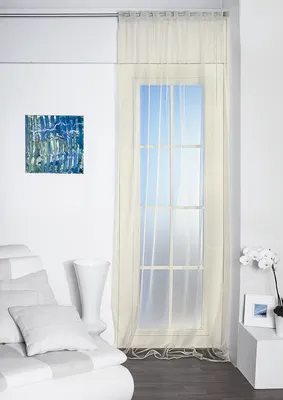 Produktbild von Betz Organza-Vorhang "Transparent" Größe 140x245 cm Farbe - champagner