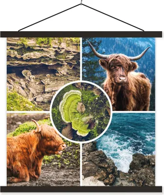 Produktbild von MuchoWow® Textilposter Schottische Hochlandrind - Tiere - Natur 90x90 cm mit schwarzem Rahmen - Magnetisches