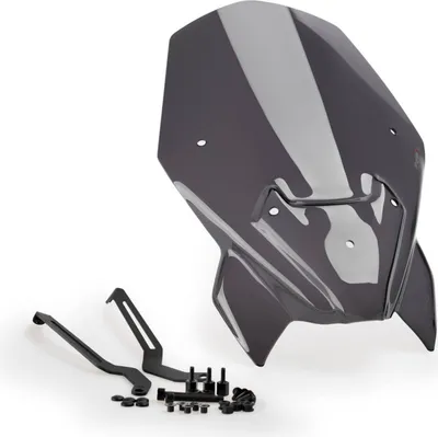 Image de PUIG 20362F New Generation Touring pour BMW F900R Fortement teinté