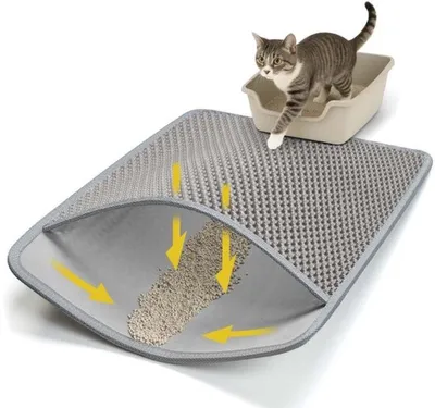 Katzenstreu, Hauptbild