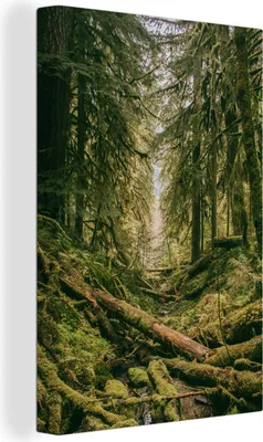 Obrázek produktu pro OneMillionCanvasses® - Obrazy na plátně - 90x140 cm, Les - Stromy - Zelená, Nástěnné umění tisk Nástěnná dekorace - Nástěnná dekorace - Ložnice