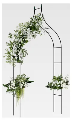 Produktbild von Metallrosenbogen, Gartenbogen für Kletterpflanzen, Torbogen mit Spitzen, Rankenbogen für Garten und Hochzeit (125 x 39 x 287 cm)