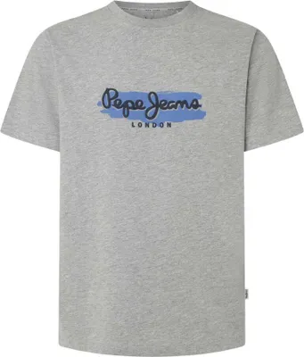 Image de Pepe Jeans Arsham T-shirt manches courtes Gris L Homme Gris L