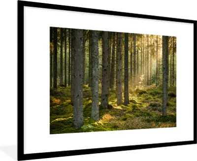 Produktbild von MuchoWow® MuchoWow® Gerahmtes Poster Wald - Baum - Sonne 90x60 cm - Poster mit zchwarzem Bilderrahmen - Wanddekoration - Fotos