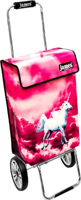 Produktbild von James Einkaufstrolley - PEGASUS - stabiler Einkaufswagen mit individuellem Design - einfarbig: rosa in Ausführung: Chrome19