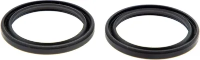Produktbild von POLINI Variator-Dichtungen D.27 mm