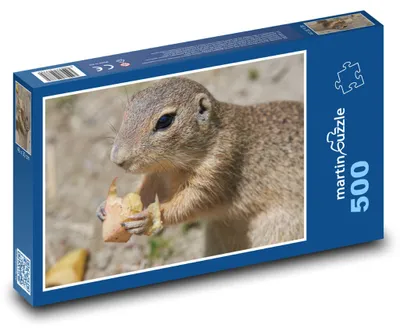 Obrázek produktu pro Puzzle 500 Sysel na louce - martinpuzzle