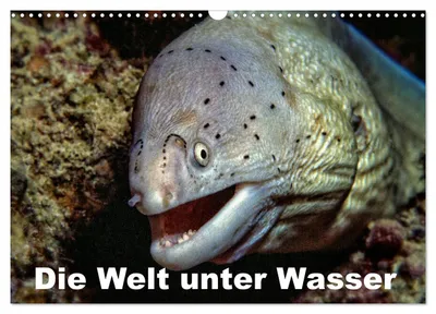 Produktbild von Die Welt unter Wasser (Wandkalender 2027 DIN A3 quer), CALVENDO Monatskalender
