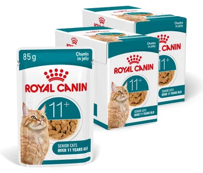 Produktbild von Royal Canin Ageing 11+ Jelly Nassfutter 24x85g Stückchen in Gelee für ausgewachsene Katzen ab 11 Jahren